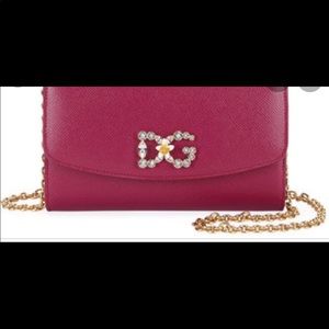 Dolce & gabbana handbag